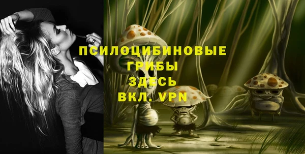 ПСИЛОЦИБИНОВЫЕ ГРИБЫ Снежногорск
